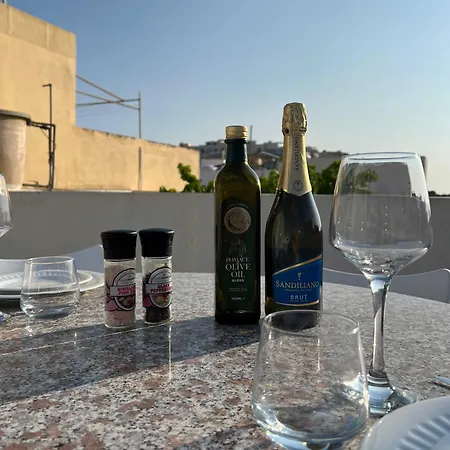 Spacious House With Roof-terrace